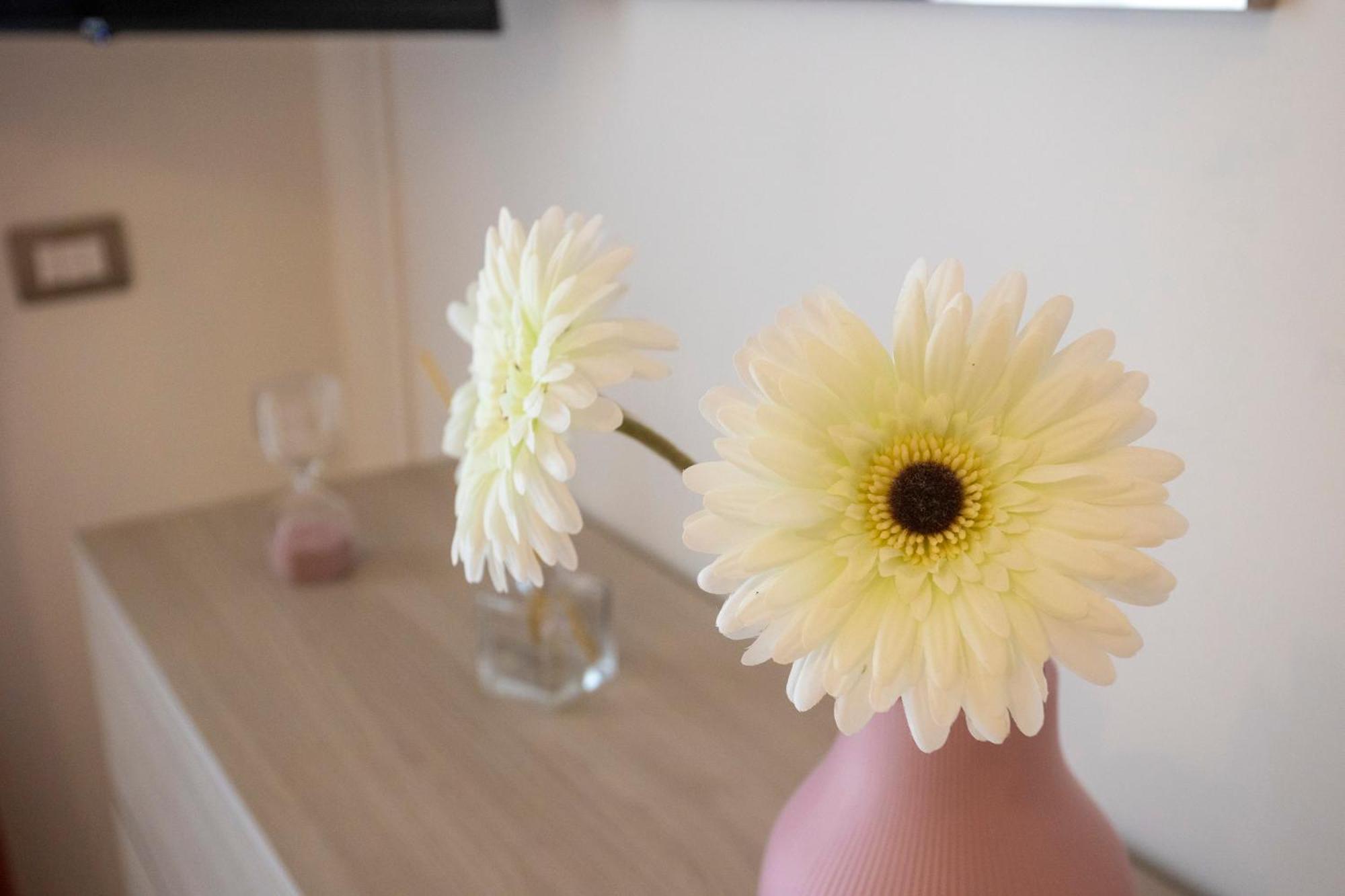 Emy House Sorrento 아파트 외부 사진